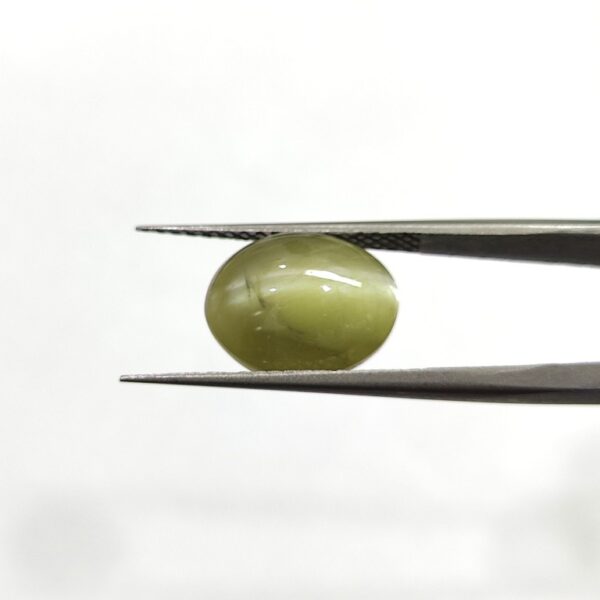 8.54 carats Chrysoberyl Cat's Eye (9.25 ratti) - Image 2