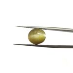 8.62 carats Chrysoberyl Cat's Eye (9.25 ratti)