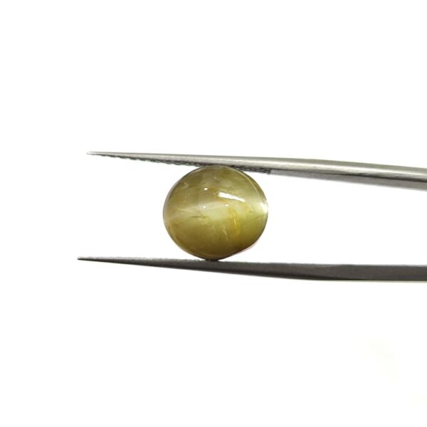 8.62 carats Chrysoberyl Cat's Eye (9.25 ratti) - Image 1