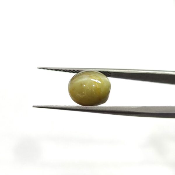 8.62 carats Chrysoberyl Cat's Eye (9.25 ratti) - Image 2