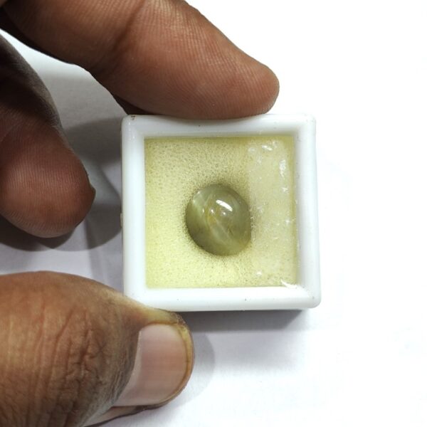 8.62 carats Chrysoberyl Cat's Eye (9.25 ratti) - Image 5