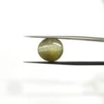 9.29 carats Chrysoberyl Cat's Eye (9.25 ratti)