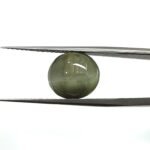 10.19 carats Chrysoberyl Cat's Eye (9.25 ratti)