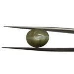 10.81 carats Chrysoberyl Cat's Eye (9.25 ratti)
