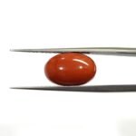 5.79 carats Red Coral (6.25 ratti)