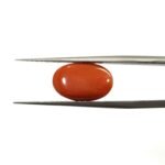 5.79 carats Red Coral (6.25 ratti) - Image 2