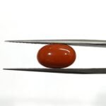 4.82 carats Red Coral (5.25 ratti)