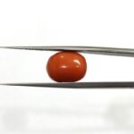 6.14 carats Red Coral (6.25 ratti)