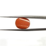 6.14 carats Red Coral (6.25 ratti) - Image 2