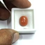6.14 carats Red Coral (6.25 ratti) - Image 5