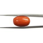 7.23 carats Red Coral (7.25 ratti)