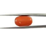7.23 carats Red Coral (7.25 ratti) - Image 2