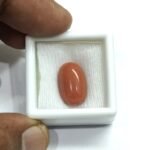 7.23 carats Red Coral (7.25 ratti) - Image 5