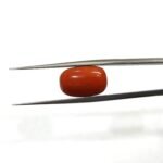 7.57 carats Red Coral (8.25 ratti)