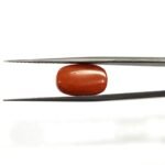 7.57 carats Red Coral (8.25 ratti) - Image 2