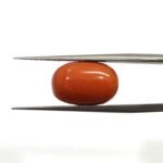 8.67 carats Red Coral (9.25 ratti)