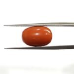 8.67 carats Red Coral (9.25 ratti) - Image 2