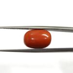 8.93 carats Red Coral (9.25 ratti)