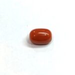 8.93 carats Red Coral (9.25 ratti) - Image 3