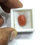 8.93 carats Red Coral (9.25 ratti) - Image 4