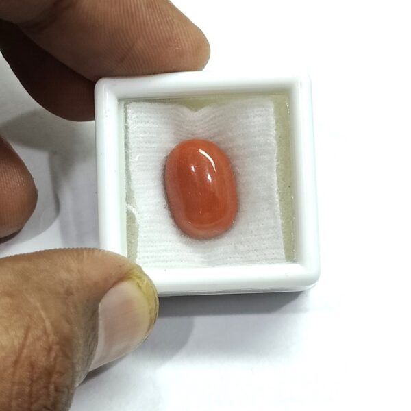 8.93 carats Red Coral (9.25 ratti) - Image 4