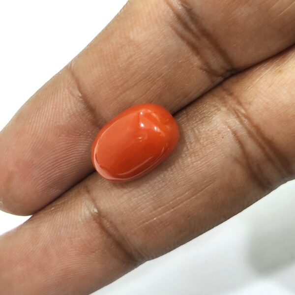 8.93 carats Red Coral (9.25 ratti) - Image 5