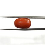 9.46 carats Red Coral (9.25 ratti)