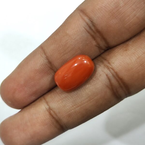 9.46 carats Red Coral (9.25 ratti) - Image 4