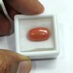 9.46 carats Red Coral (9.25 ratti) - Image 5