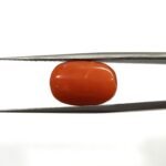 10.58 carats Red Coral (9.25 ratti)