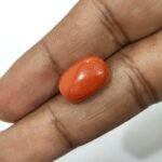 10.58 carats Red Coral (9.25 ratti) - Image 3