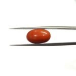 6.21 carats Red Coral (6.25 ratti)