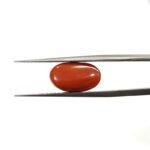 6.21 carats Red Coral (6.25 ratti) - Image 2