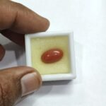6.21 carats Red Coral (6.25 ratti) - Image 5