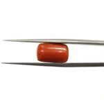 6.35 carats Red Coral (7.25 ratti) - Image 2