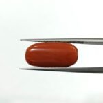 8.9 carats Red Coral (9.25 ratti)