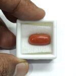 8.9 carats Red Coral (9.25 ratti) - Image 5