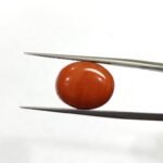7.37 carats Red Coral (8.25 ratti)
