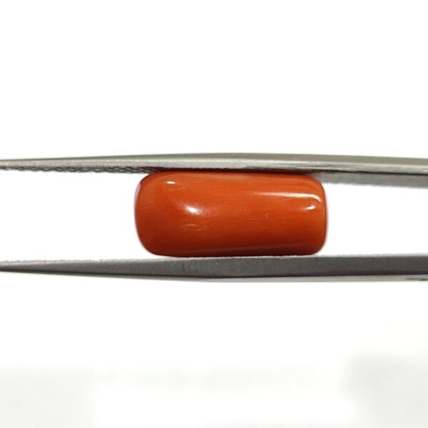 8.6 carats Red Coral (9.25 ratti) - Image 2