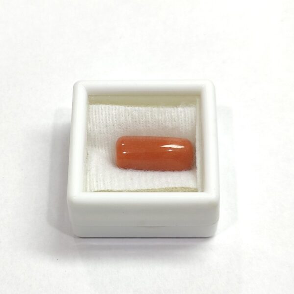 8.6 carats Red Coral (9.25 ratti) - Image 5
