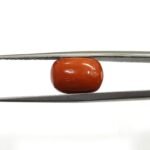 6.4 carats Red Coral (7.25 ratti)