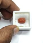 6.4 carats Red Coral (7.25 ratti) - Image 5