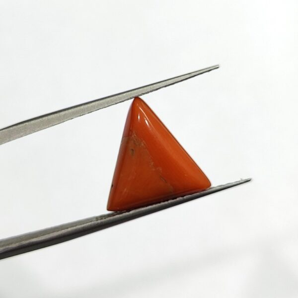 5.33 carats Red Coral (5.25 ratti) - Image 2