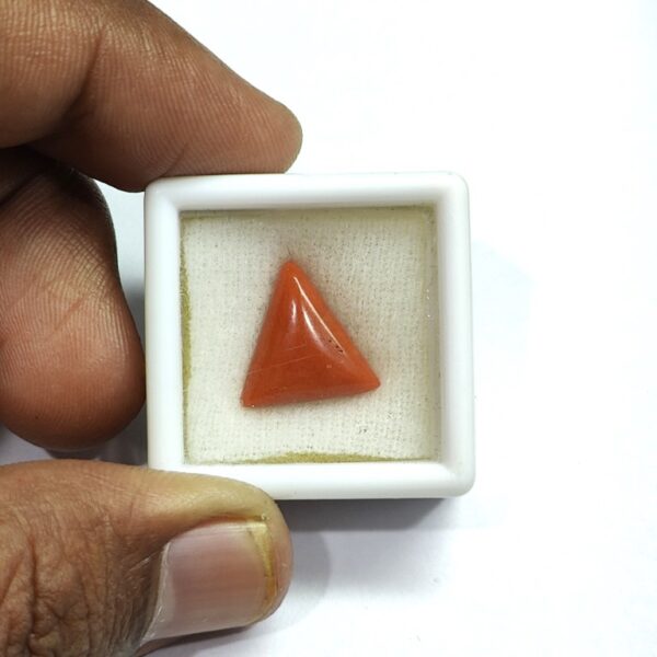 5.33 carats Red Coral (5.25 ratti) - Image 4