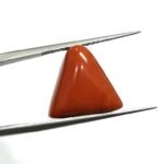 12.36 carats Red Coral (9.25 ratti) - Image 2