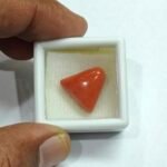 12.36 carats Red Coral (9.25 ratti) - Image 3