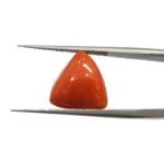 8.59 carats Red Coral (9.25 ratti)