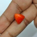 8.59 carats Red Coral (9.25 ratti) - Image 4