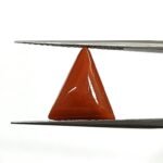 4.78 carats Red Coral (5.25 ratti)