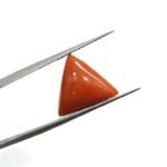 7.46 carats Red Coral (8.25 ratti) - Image 2